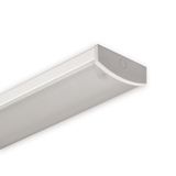 Sealed industrial luminaire AMS249K-N T5 2X49W C