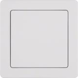 Mains adapter frame, Q.1, p. white velvety