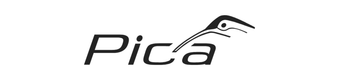 Pica