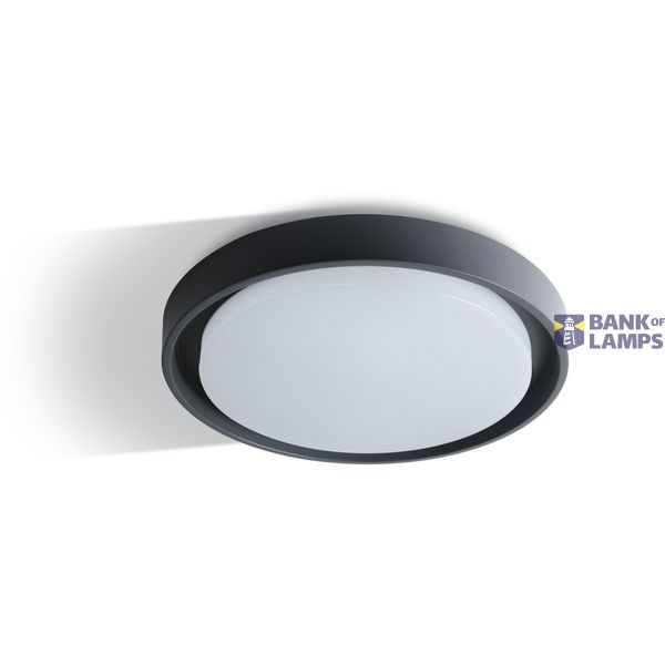 ANTHRACITE PLAFO 30W WW IP54 230V image 1