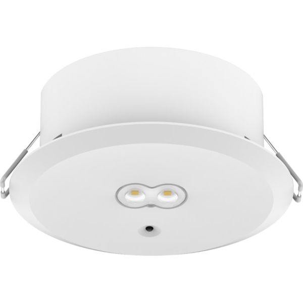LiFeSafe PRO SURF RDDL HO RARC EM3 NM DA image 1