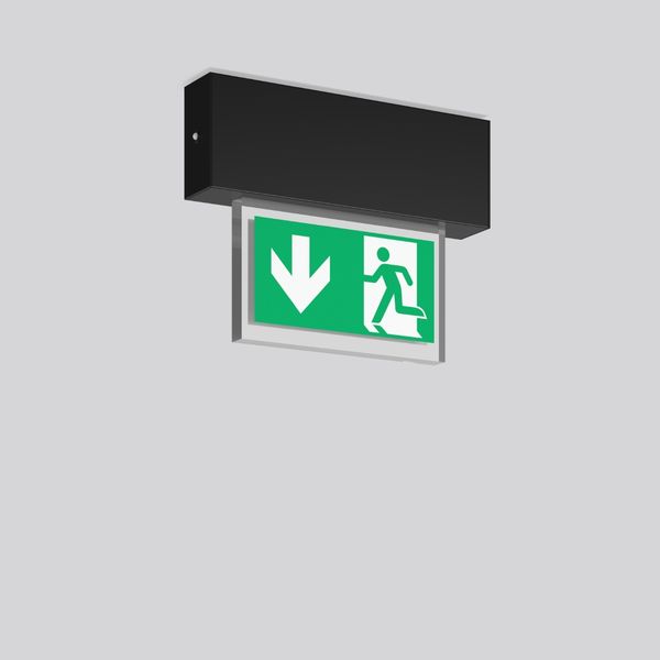 HALYXX, 4,7 W, black, on/off Ceiling luminaires, L 233 B 40 H 184, CBS image 2
