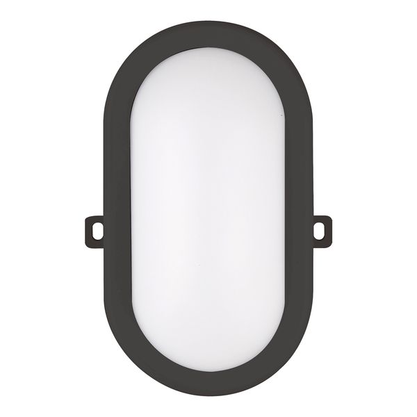 LED Bulkhead Basic 12W 3000K Black Oval image 1