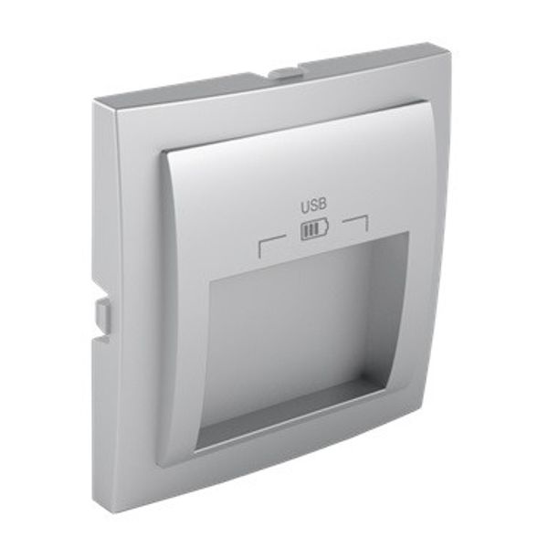 C PLATE DOUB USB CHARG TYPE A 20° OUTPUT AL image 1