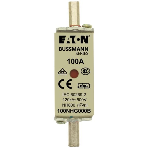 Fuse-link, LV, 25 A, AC 690 V, NH000, gL/gG, IEC, dual indicator, live gripping lugs image 1