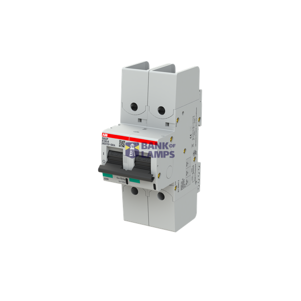S802P-K100-R circuit breaker image 3
