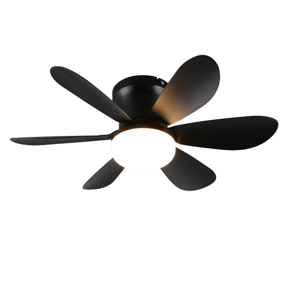 Lund LED ceiling fan matt black image 1