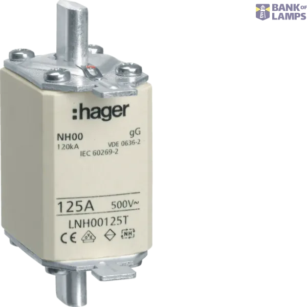 NH Fuse Insert 125A GG, 500VAC LNH00125T image 1