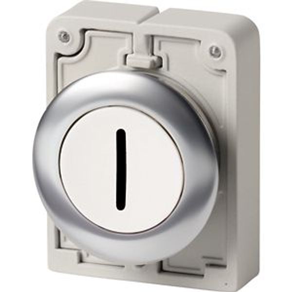 M30I-FD-W-X1 Pushbutton, RMQ-Titan, flat, momentary, White, inscribed 1, Front ring stainless steel image 2