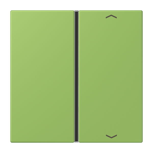 Cover 1-gang with symbols LC32051 LC401TSAP220 image 1