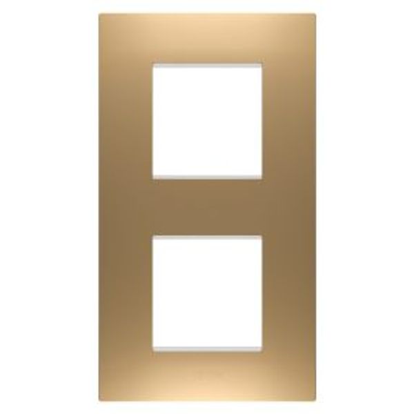 EGO INTERNATIONAL PLATE - IN PAINTED TECHNOPOLYMER - 2+2 MODULES VERTICAL - GOLD - CHORUSMART image 1
