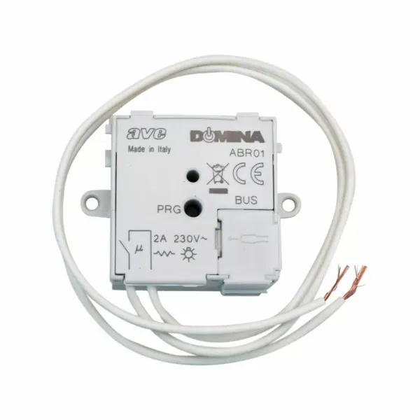1C HIDDEN RECEIVER DOMINA image 1