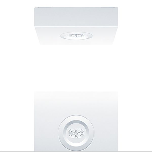 RESCLITE PRO MSC SPOT HP ECD WH - Safety luminaire image 1