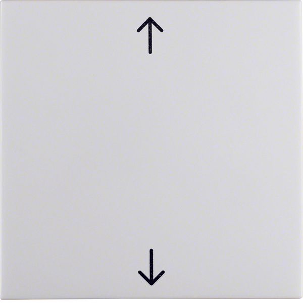 Rocker imprinted arrows symbol, S.1/B.3/B.7, p. white glossy image 1