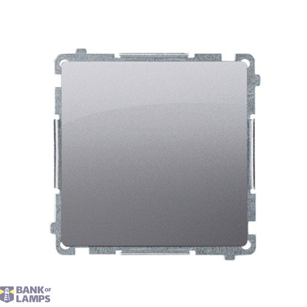 Intermediate switch without pictogram, (module), 10AX, Screw, Inox, metallized image 1