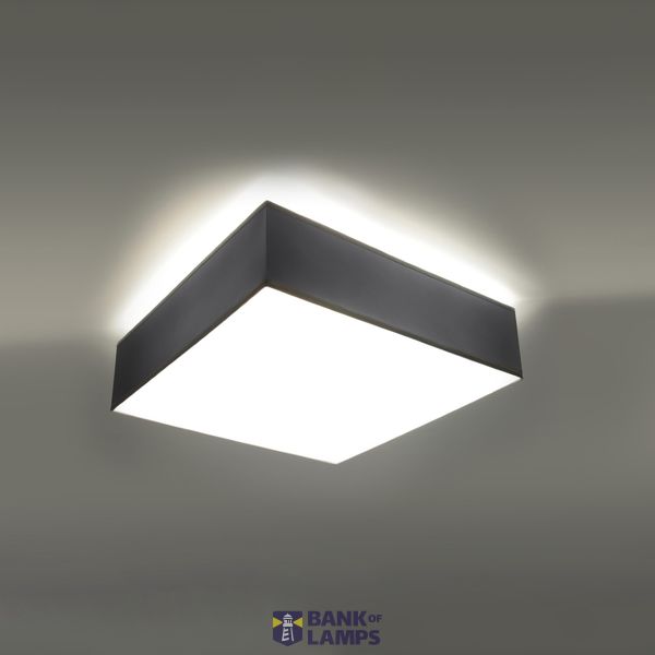 CEILING LAMP HORUS 35 GREY E27 2X60W IP20 image 5