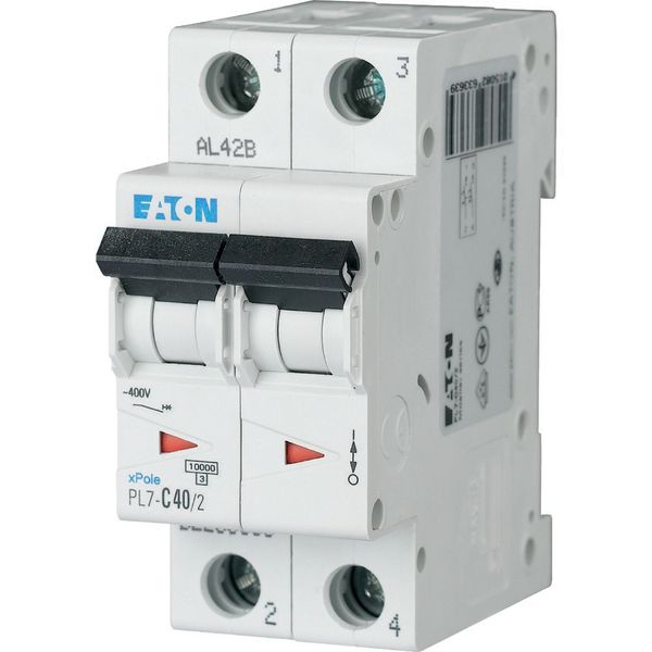 PL7-B40/2 Miniature circuit breaker (MCB), 40 A, 2p, characteristic: B image 2