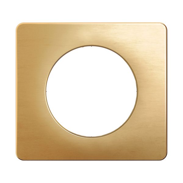 PLATE 1 GANG SATIN BRASS image 6