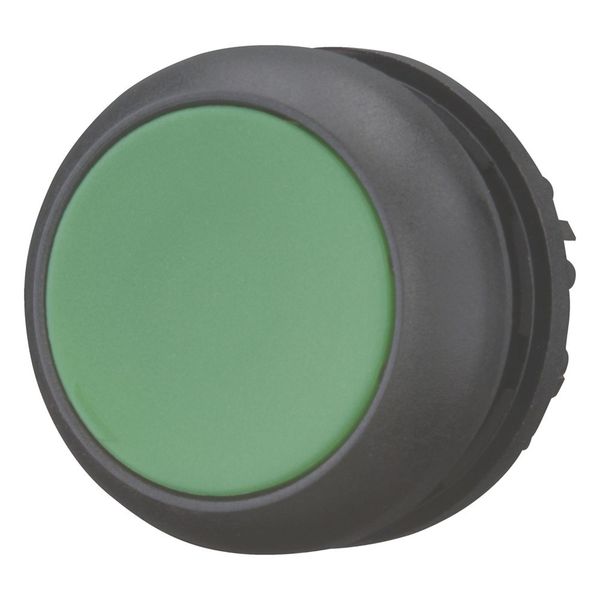 M22S-D-G Pushbutton, RMQ-Titan, Flat, momentary, green, Blank, Bezel: black image 5