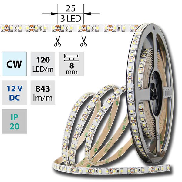 LED strip SMD3528 cold white, 120LED/m, IP20, DC 12V, 8mm, 50m image 1
