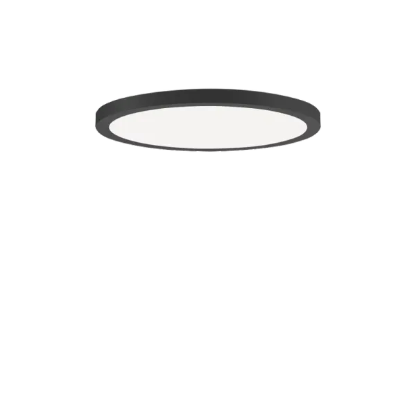 FL R+ 333 RE 8/23 S/A 830 BK9005 OP image 1