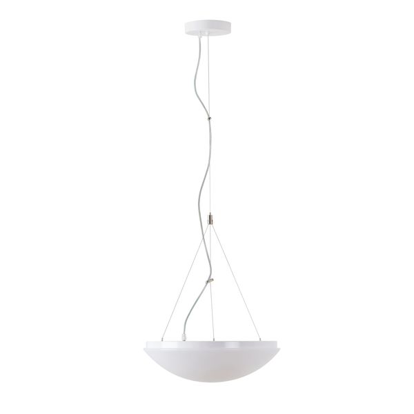 LED-1L16B07ZT11/PC08/L100 DALI 3000 image 1