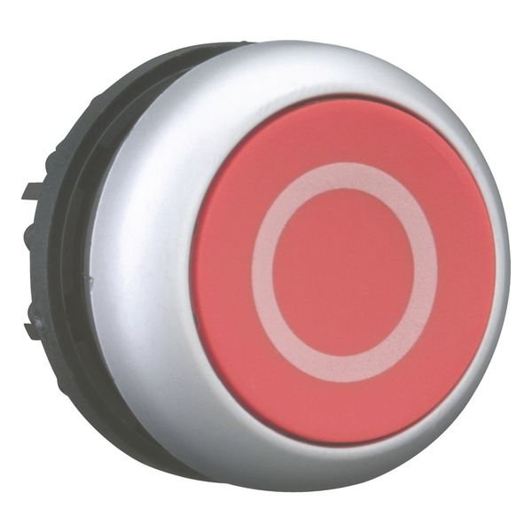 M22-D-R-X0 Pushbutton, RMQ-Titan, Flat, momentary, red, inscribed, Bezel: titanium image 11
