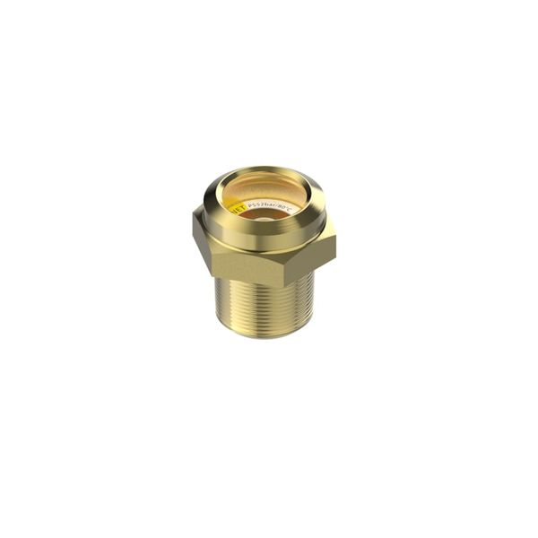 SGP 1/2 RN Sight Glass M/19x4 image 1