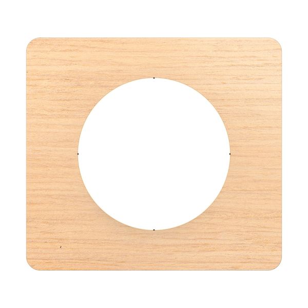 PLATE 1 GANG BEECH image 6