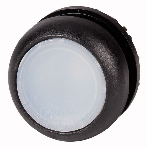 M22S-DL-W Illuminated pushbutton actuator, RMQ-Titan, Flush, momentary, White, Blank, Bezel: black image 1