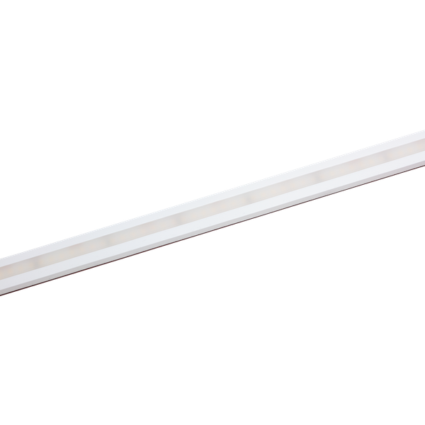 LED Star Strip 1200 ZeroPitch Waterproof, LED STRIP 1200ZP S 940/24V/IP67 15M image 1
