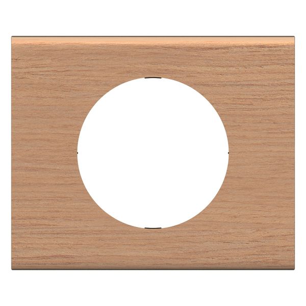 PLATE 1 GANG OAK image 6