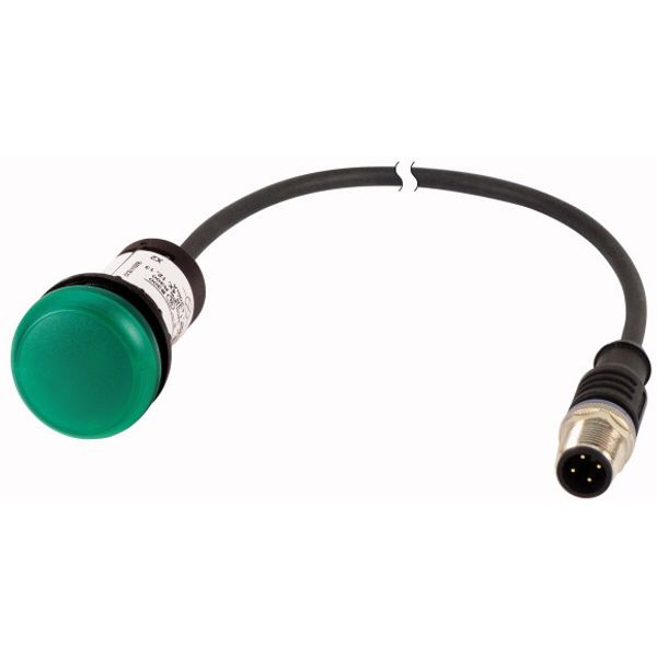 C22-L-G-24-P1 Indicator light, Flat, Cable (black) with M12A plug, 4 pole, 0.2 m, Lens green, LED green, 24 V AC/DC image 1