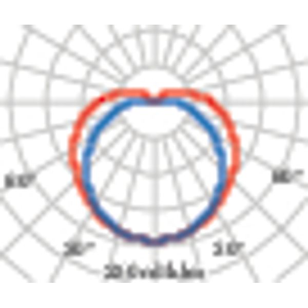 CHIP OVAL 25 LED 4000K BLACK 6.5W image 7