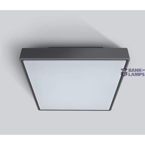 ANTHRACITE LED PLAFO 24W WW IP65 230v image 1