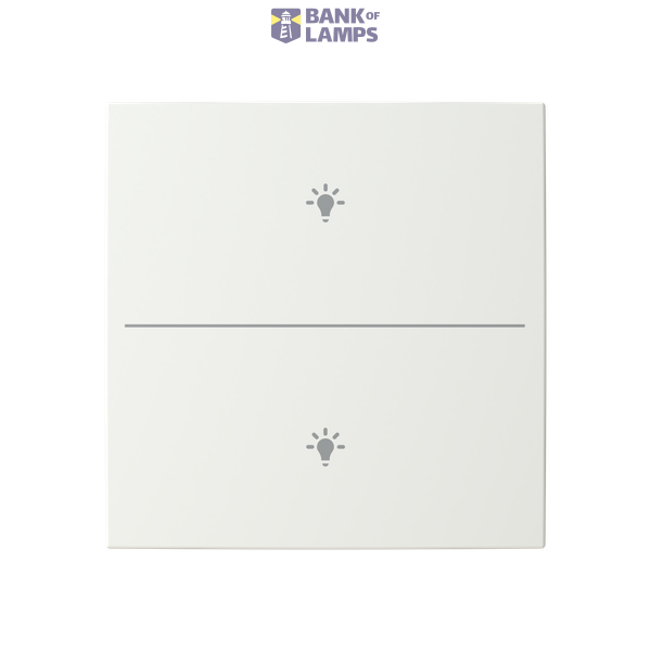 ESP 240T1/25/TNC module image 1