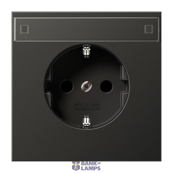 SCHUKO socket, 16 A 250 V ~, integrated increased contact protection, SAFETY+, painted aluminum, LS series, anthracite image 1
