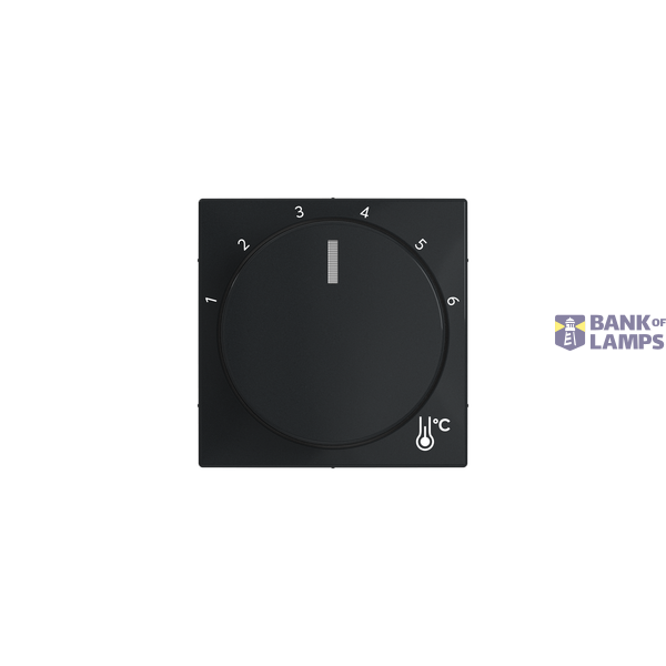 c-plate temp. round image 1