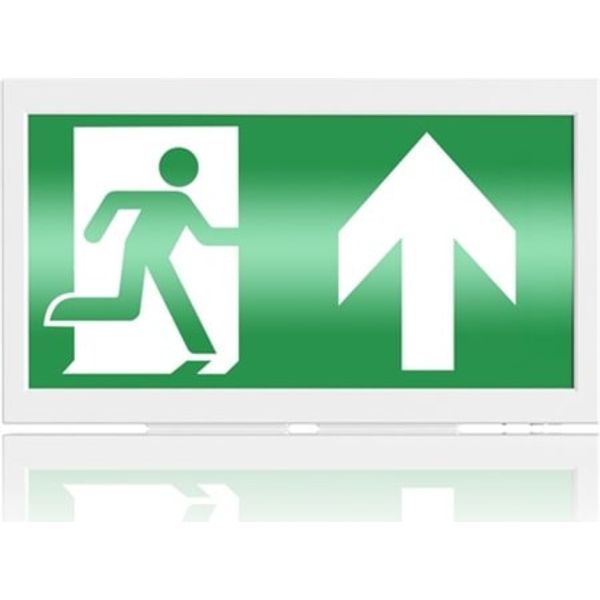LiFeSafe PRO MULTI EXIT WR EM3 NM/MT DA image 1