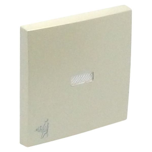 ROCK F/LIGHT SWITCH/PUSH-BUT W/MAID SYMB PEAR image 2