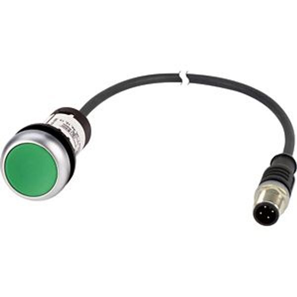 C22-D-G-K10-P3 Pushbutton, Flat, momentary, 1 N/O, Cable (black) with M12A plug, 4 pole, 0.5 m, green, Blank, Bezel: titanium image 5