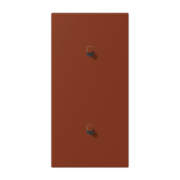 Centre plate with toggle lever "cylinder LC12-20R0247 image 1