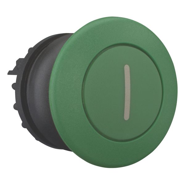M22S-DRP-G-X1 Mushroom actuator, RMQ-Titan, Mushroom, maintained, Mushroom green, green, inscribed, Bezel: black image 13