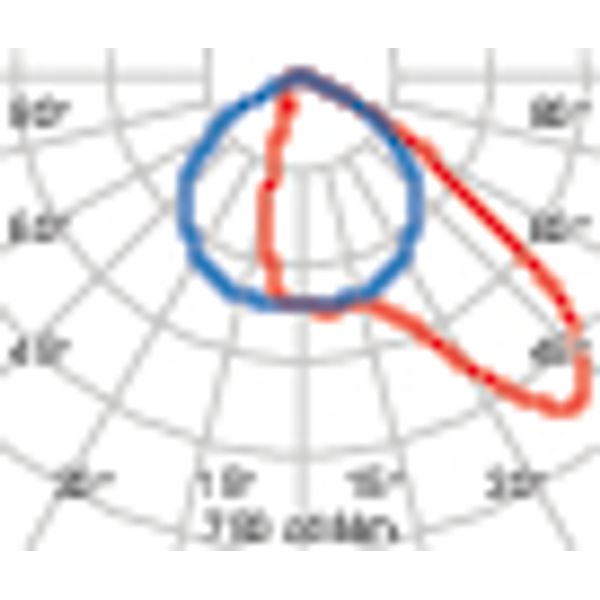 GUELL1 51 A40/W 750 GR94 image 4