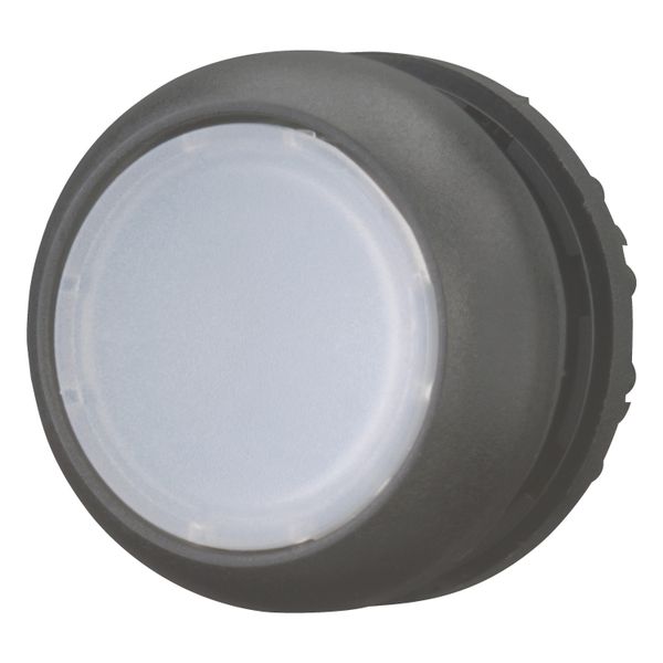 M22S-DL-W Illuminated pushbutton actuator, RMQ-Titan, Flush, momentary, White, Blank, Bezel: black image 3