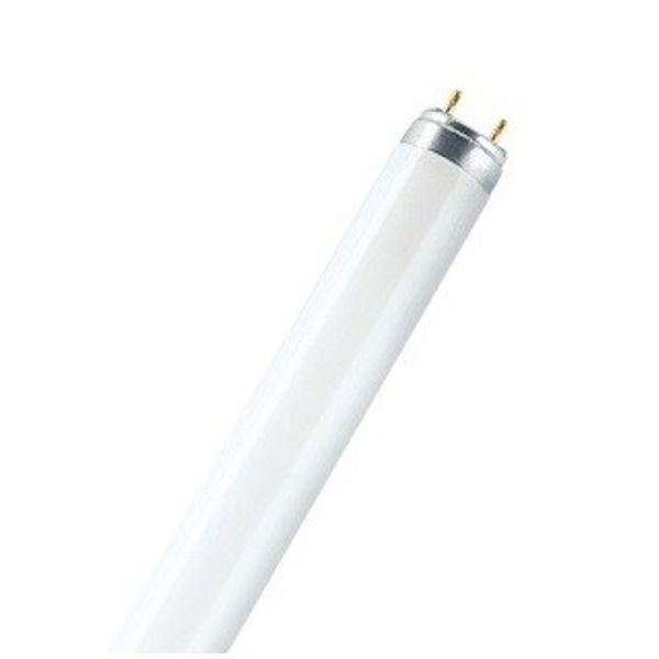 T5 6W/125 image 1