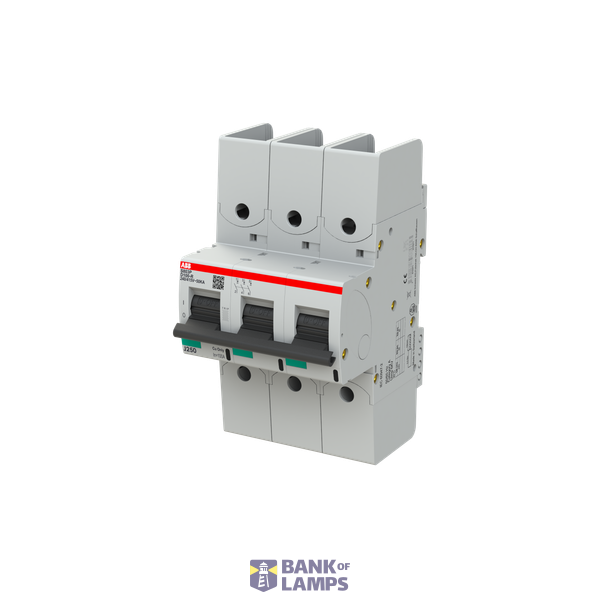 S803P-D100-R circuit breaker image 3