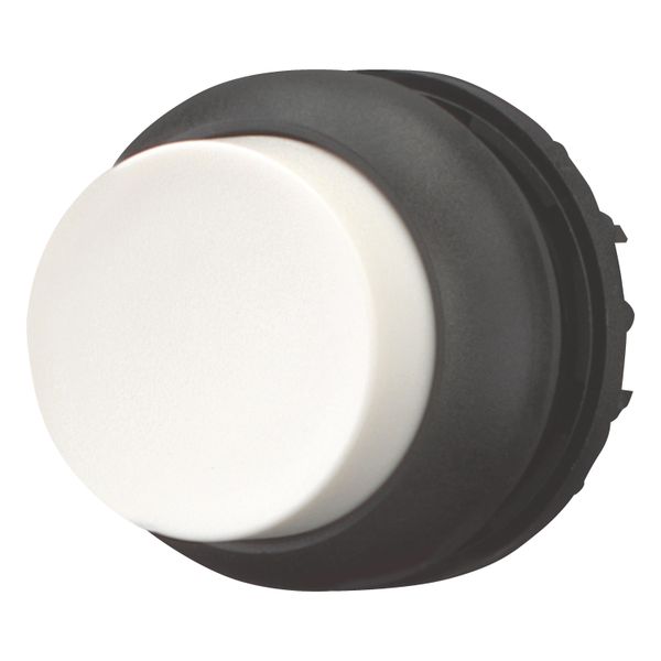 M22S-DH-W Pushbutton, RMQ-Titan, Extended, momentary, White, Blank, Bezel: black image 4