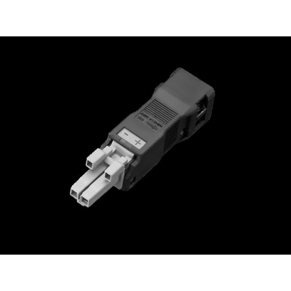 Jack, for power supply and through-wiring, 2-pole, 24 V DC image 2