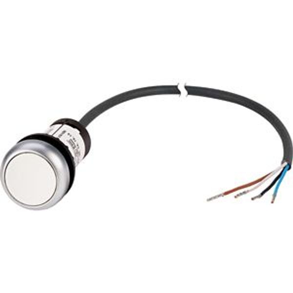 C22-DR-W-K10-P65 Pushbutton, classic, flat, maintained, 1 N/O, white, cable (black) with non-terminated end, 4 pole, 3.5 m image 5